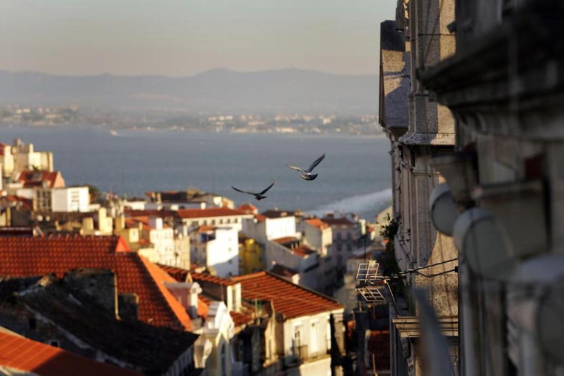 Apartment Sete Colinas Lisbon